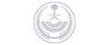 Copy of MOIsaudi